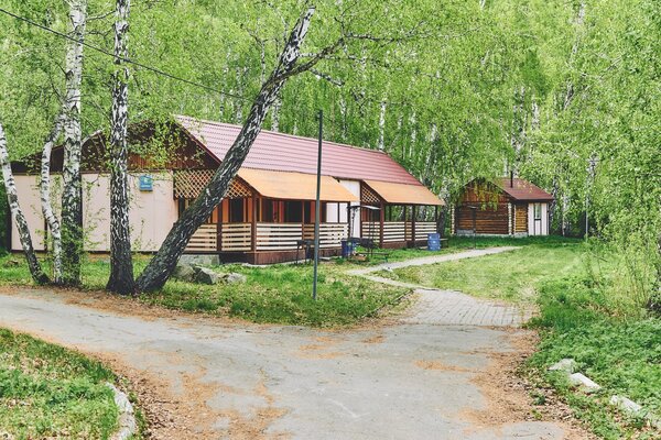 Курочкино — фото 2