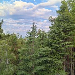 Дом отдыха Лазаревский, Краснодарский край