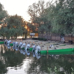 База отдыха Ольга, Астраханская область