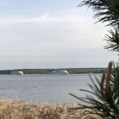 Кемпинг  Гусиный остров, Тверская область
