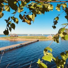 Кемпинг  Гусиный остров, Тверская область
