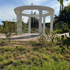 Апартаменты Teo Home, Крым