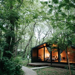 Глэмпинг Polyana Glamping, Калининградская область