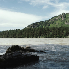 Клуб-отель Катунь Дом Хотелс, Алтайский край