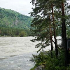 Клуб-отель Катунь Дом Хотелс, Алтайский край