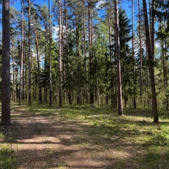 База отдыха Тихий Лес, Тверская область