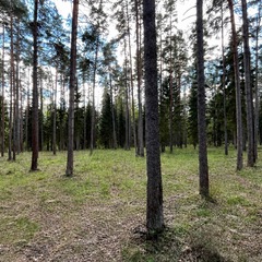 База отдыха Тихий Лес, Тверская область