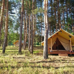 Рыболовно-охотничья база Заповедный край, Брейтовский район, Ярославская область
