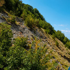 Отель Отель Ласка, Краснодарский край