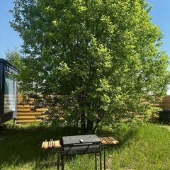Дом в аренду Побег из Москвы , Московская область
