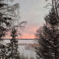 База отдыха Море, Ленинградская область