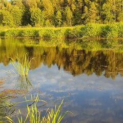 Загородный дом Дом на берегу, Нижегородская область
