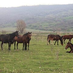 Туркомплекс Белая река, Республика Адыгея