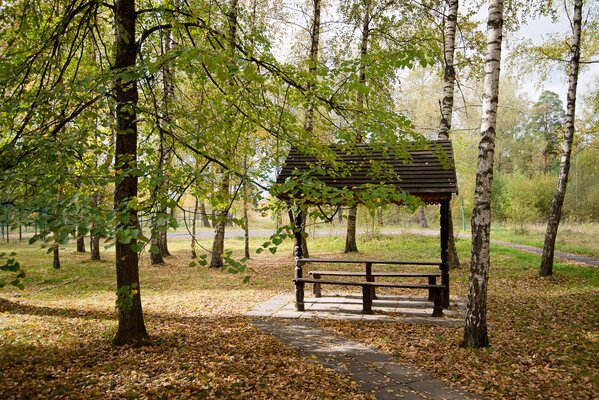Звенигородский — фото 4