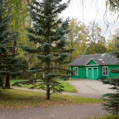 Санаторий Звенигородский, Московская область