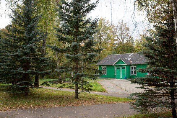 Звенигородский — фото 5