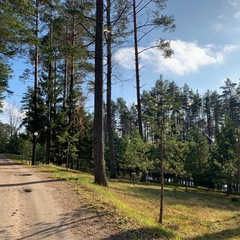 База отдыха Аленушка, Новгородская область
