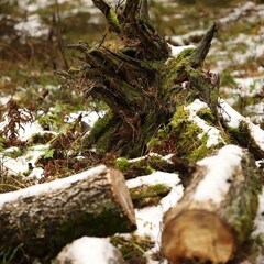 Глэмпинг Шестое Чувство, Нижегородская область