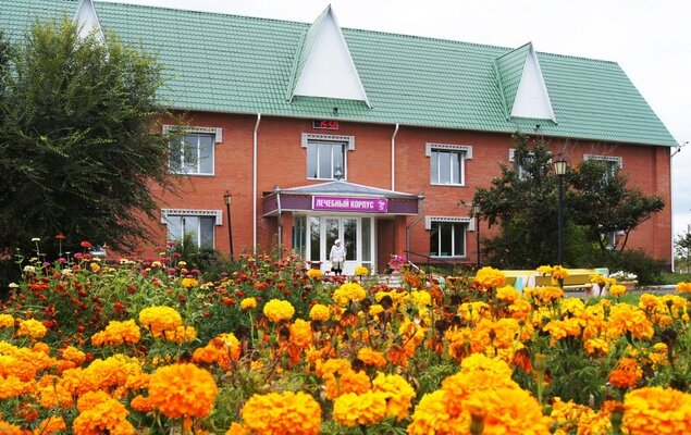 Сосновый бор — фото 1