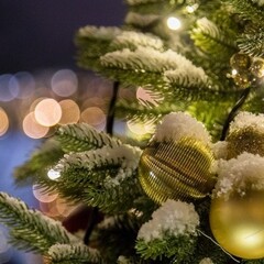 База отдыха Островок, Самарская область