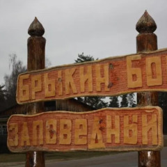 Гостевой дом Ни-Ки-Та, Спасский район, Рязанская область