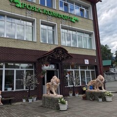 Усадьба Royal Komfort, Чемальский район, Республика Алтай