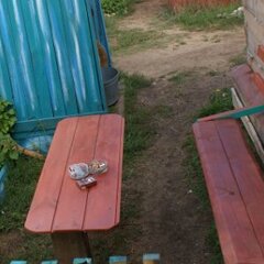 База отдыха Незабудка, Хужир, Иркутская область