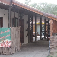 База отдыха Динамо, Анапа, Краснодарский край