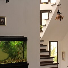 Гостевой дом Матиллари, Севастополь, Крым