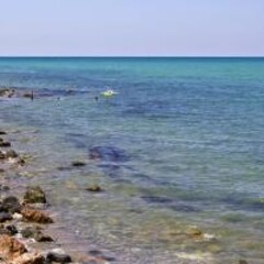 Гостевой дом Каса Олива, Николаевка, Крым
