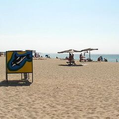 Гостевой дом Семейный отдых, Сакский район, Крым