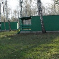 База отдыха Сибирский виноград, поселок Киреевск, Томская область