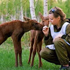 База отдыха Турнаево, Тюменская область