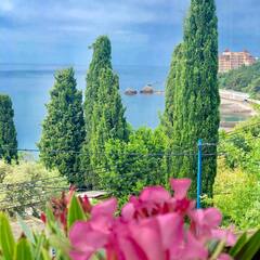 Гостевой дом Барселона, Симеиз, Крым