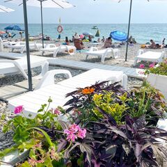 Отель Ola Resort, Ольгинка, Краснодарский край
