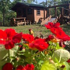 База отдыха Лесное озеро, Артем, Приморский край