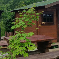 База отдыха Лесное озеро, Артем, Приморский край