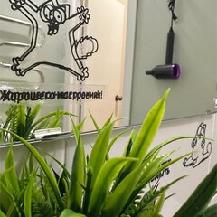 База отдыха АО Эйфория Отели, Москва, Московская область